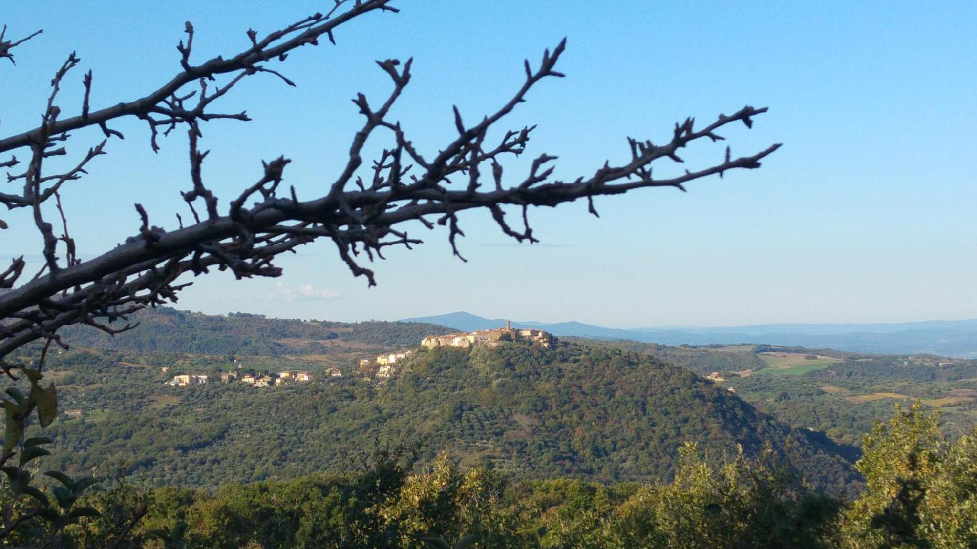 Borgo Tepolini Country House Castel del Piano  Bagian luar foto